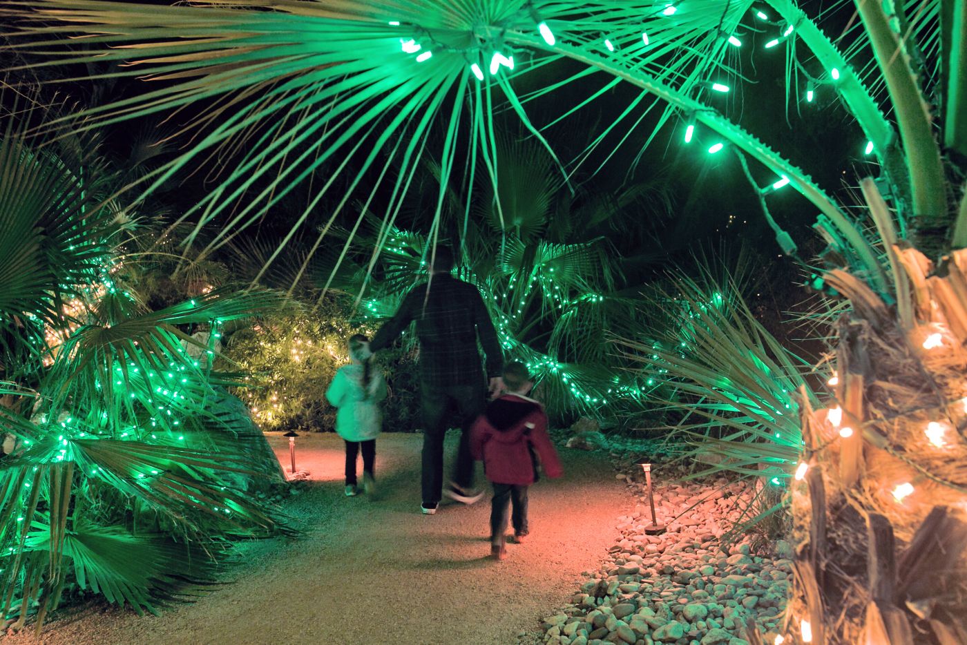 Tohono Chul Park Holiday Nights